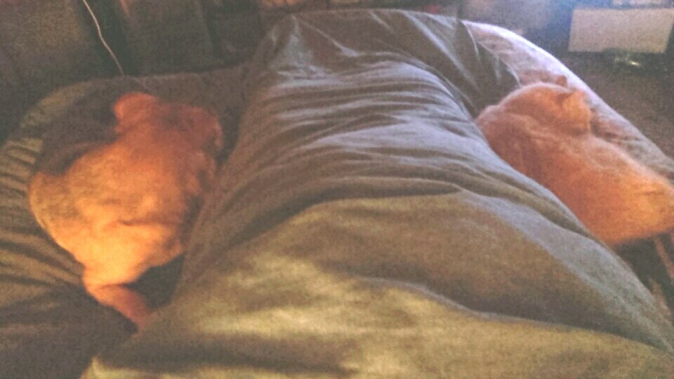 FSourioux's tweet image. Au chaud