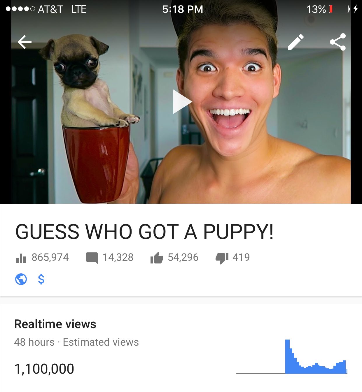 Alex wassabi dog