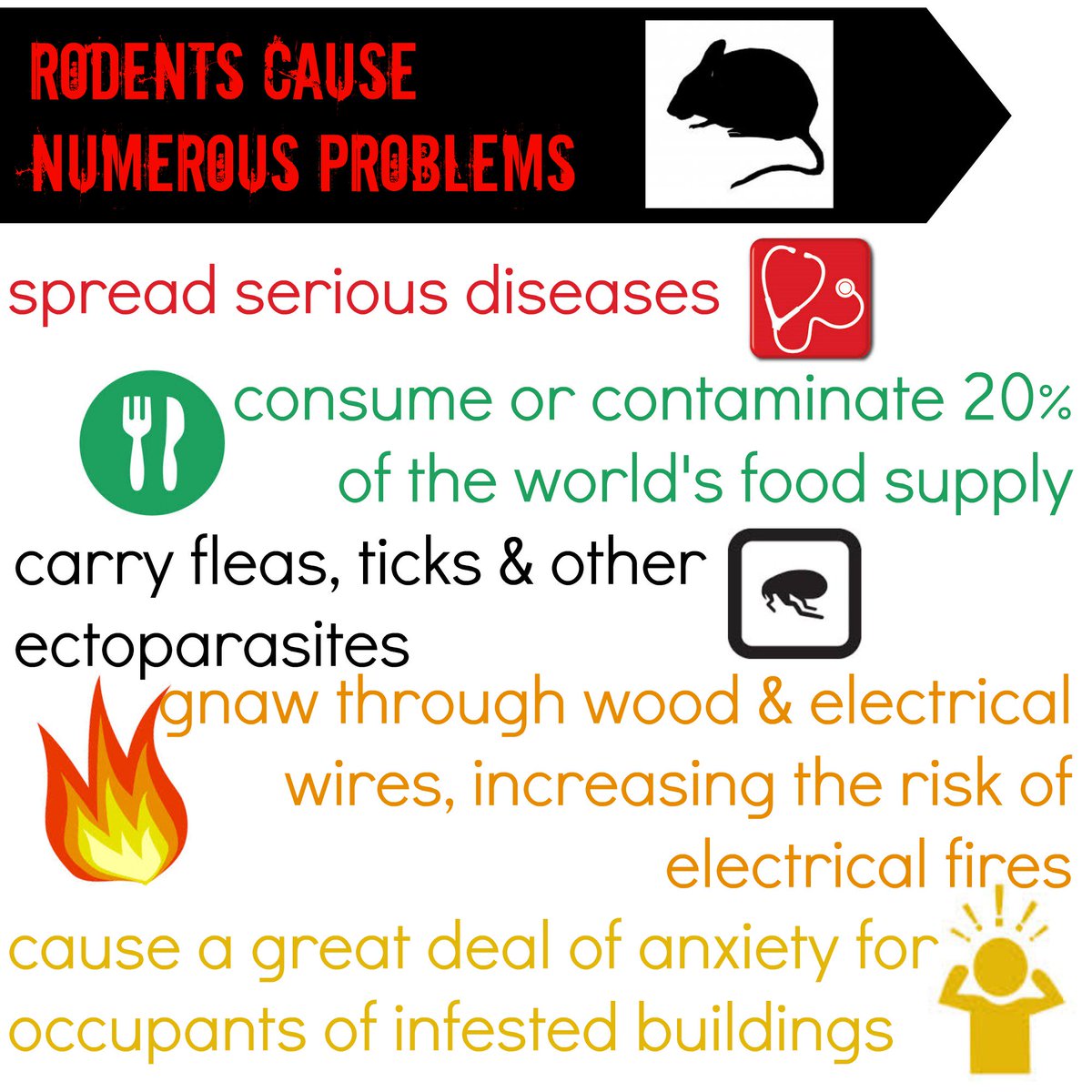 Bugsperts's tweet photo. Here’s why you should want keep mice and rats from moving indoors this season: https://t.co/CuMuUt1ffA