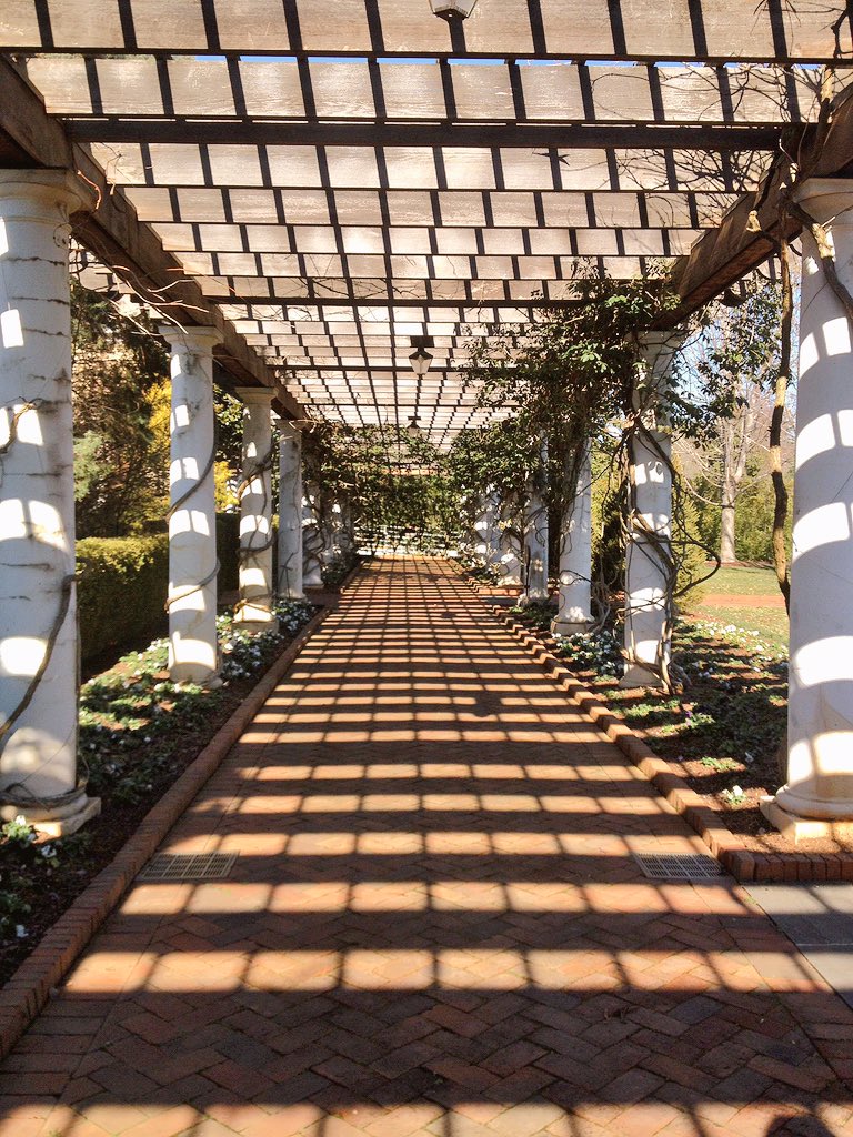 travel_basic's tweet image. Daniel Stowe Botanical Gardens #Travel #wanderlust #wanderlustwednesday #garden #flower #NorthCarolina #TravelBlog