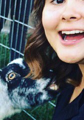 MelodySapien's tweet photo. Like I'm sorry Mr. Goat, I just wanted a selfie😭🙃
He bit my hair #Not over it 🌿🐐#ImNotFood https://t.co/lp4XFehvBy