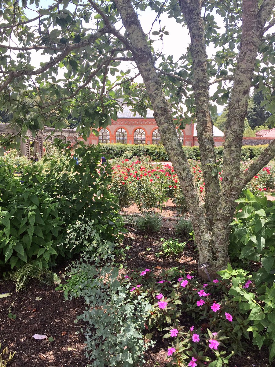 travel_basic's tweet image. Biltmore Gardens #Travel #city #wanderlust #wanderlustwednesday #TravelBlog #america #garden #flowers