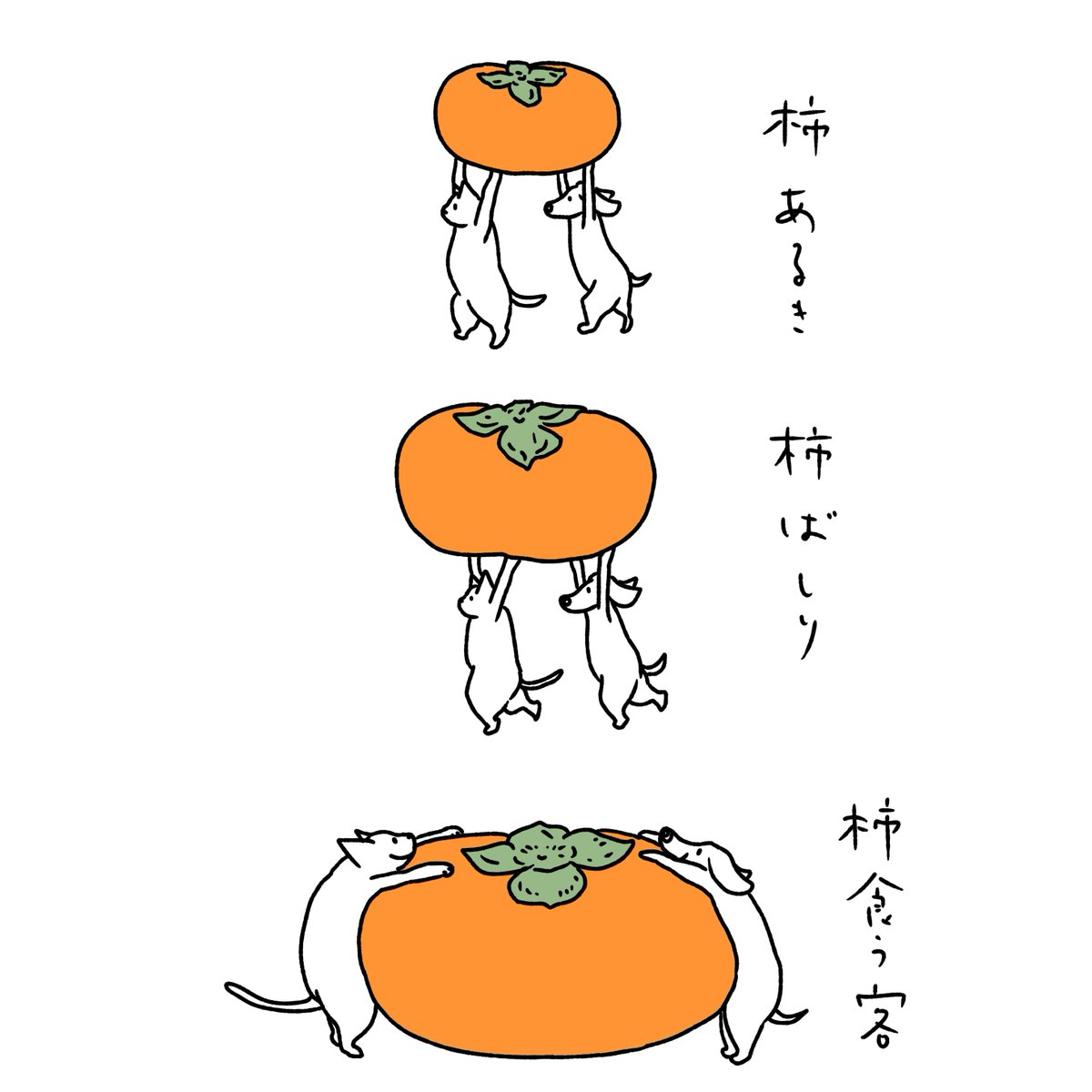 石川ともこ 朝から柿を食べたら柿の日でした Illustration イラスト Cat 猫 ねこ しろさん 犬 Dog ペット 動物 秋 柿 柿の日