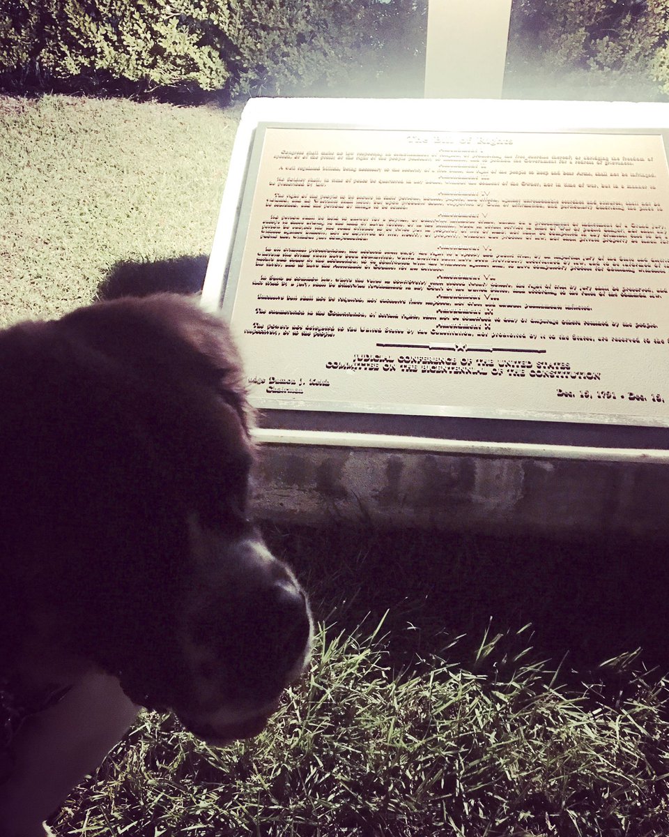 Gotta love the #BillofRights 📜 #tcot