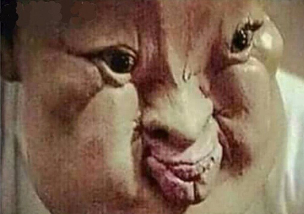 ShoesOvaHoes's tweet photo. How my face be  When teachers be screaming in my  face and they breath stank......😂😂😂😂💀💀💀 https://t.co/7PbPnO4A6r