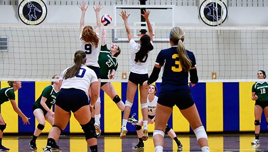 Pac 10 Sports (@pactensports) on Twitter photo <a href="/MethactonVball/">Methacton Volleyball</a> <a href="/MethactonSports/">Methacton Warriors</a> <a href="/PvViking/">Perk Valley Sports</a> <a href="/UMAHS_ATHLETICS/">UM Athletics & Activities</a> <a href="/SFRamsVB/">SF Volleyball</a> District 1-AAAA volleyball bracket updated. pac-10sports.com/article/conten⦠<a href="/MethactonVball/">Methacton Volleyball</a> <a href="/MethactonSports/">Methacton Warriors</a> <a href="/PvViking/">Perk Valley Sports</a> <a href="/UMAHS_ATHLETICS/">UM Athletics & Activities</a> <a href="/SFRamsVB/">SF Volleyball</a> District 1-AAAA volleyball bracket updated. pac-10sports.com/article/contenā¦