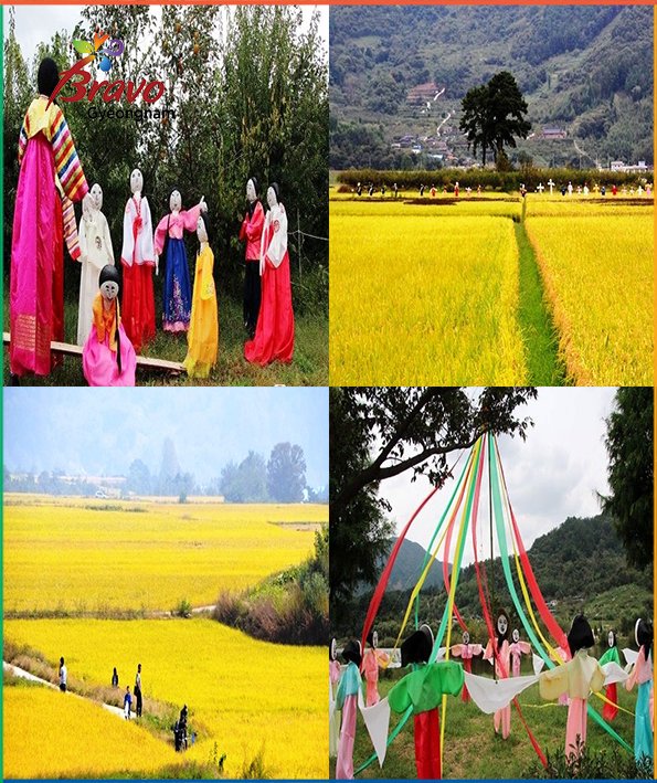 travelkoreagsnd's tweet photo. #Gyeongnam #Korea #mountains #festivals #seaside #beautiful_views #autumn_views #golden_autumn #yellow_fields
#autumn_parks https://t.co/upTYQfAMjm