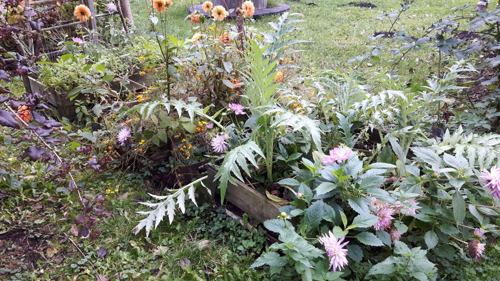 B.Chopard @ inlandschap (@bchopard) on Twitter photo 