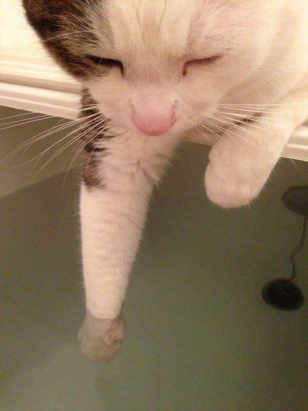 nexonhero0912's tweet image. 신개념 수온체크