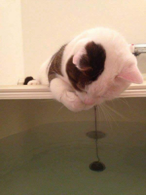 nexonhero0912's tweet image. 신개념 수온체크