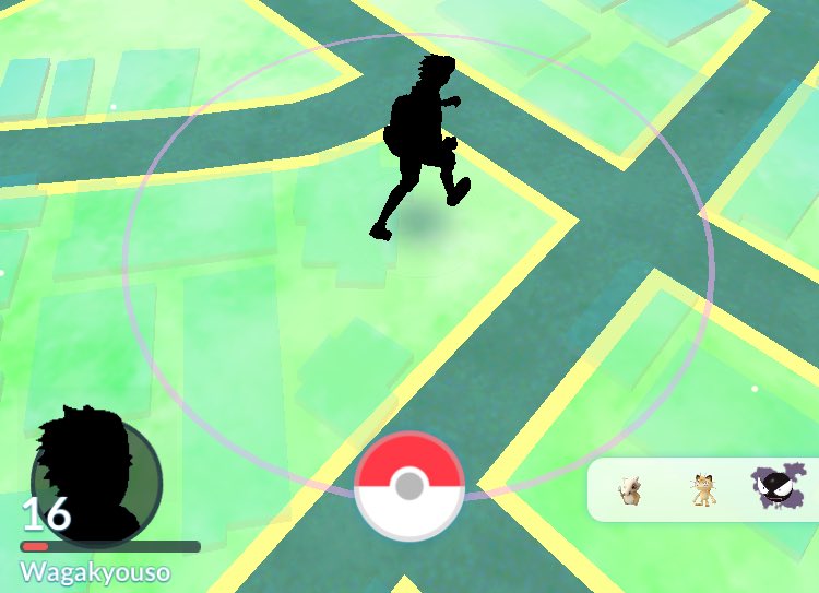 謎のシルエット その正体は ポケモンgoで起こったちょっと奇妙な騒動 ポケモン噂の事件簿293 アプリゲット
