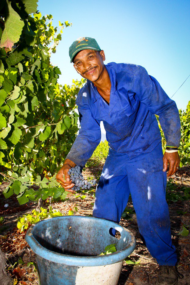 PlaceintheSunSA's tweet photo. Our team believes that wines made by people who are filled with optimism boast exceptional flavour, which leads to greater enjoyment. https://t.co/FkRFy4sW1C