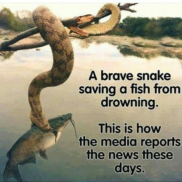 Human rights are bad. Tax-avoiding is good. Doctors are extremists. Refugees are pretending. Poor our scroungers. Tories are good on economy https://t.co/hc176Jn7dq