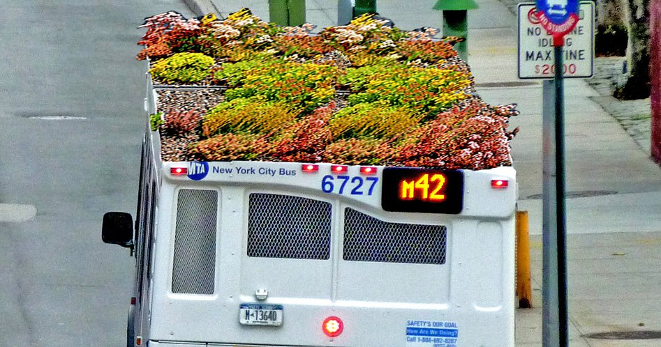 experimenta_es's tweet photo. #BusRoots, el autobús para cultivar plantas de Marco Castro Cosio
https://t.co/qLhBOiZiSs #design @macascos #Experimenta #Arquitectura https://t.co/lJjUJKWmwz