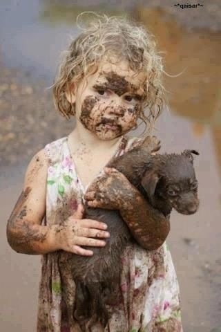 getdexdog's tweet photo. https://t.co/H1FxP2KdsJ check this out: Bath time! https://t.co/vgLBNjqPsv #dogs #goldendoodles #bulldogs #frenchies #dexdo… https://t.co/dqbLjF5sDI
