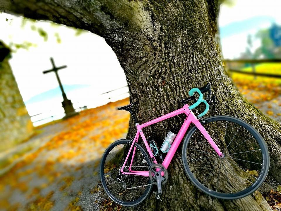 BianchiOfficial's tweet photo. .@GadgetGubi 's #Specialissima never goes unnoticed! #Tavolozza https://t.co/e4zz5eSffD