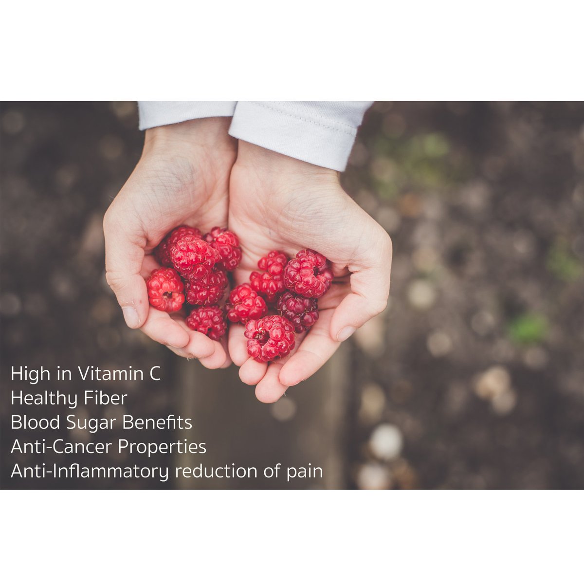 HealthticketTH's tweet photo. Health starts from within your kitchen-Raspberry 101 #Health #Benefits - It's time to shop for your health

https://t.co/Hk4b1ogJ2l https://t.co/7yg4gp3VGf
