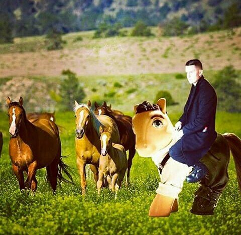 BleiveAlise's tweet photo. ladie with ponies..😏 @adamhurts #Hurts #hurtsfamilylatvia #Hurtsfamily #AdamAnderson #Hurtsband #Hurtsfans #HurtsLatvia https://t.co/wxEdqLRy5I