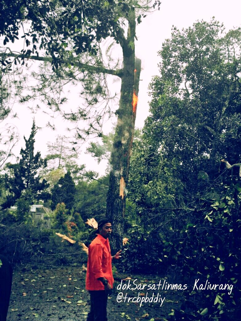 TRCBPBDDIY's tweet photo. 26/10 Pohon Tumbang Terkena Petir di Sekitar Kaliurang dikondisikan oleh @SarKaliurang ,Komrel &amp; Warga #SafetyFirst https://t.co/Is34IIXgCR