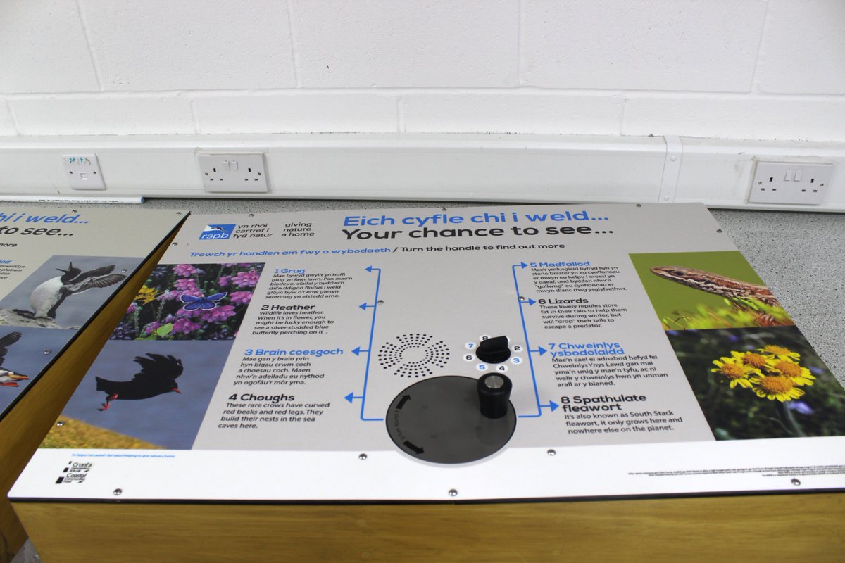 blackboxav's tweet photo. #OutInThePost ...we have two of our AudioSign Turns leaving the factory today for @Natures_Voice ! 🐦🐦 https://t.co/8YHaObtB7O