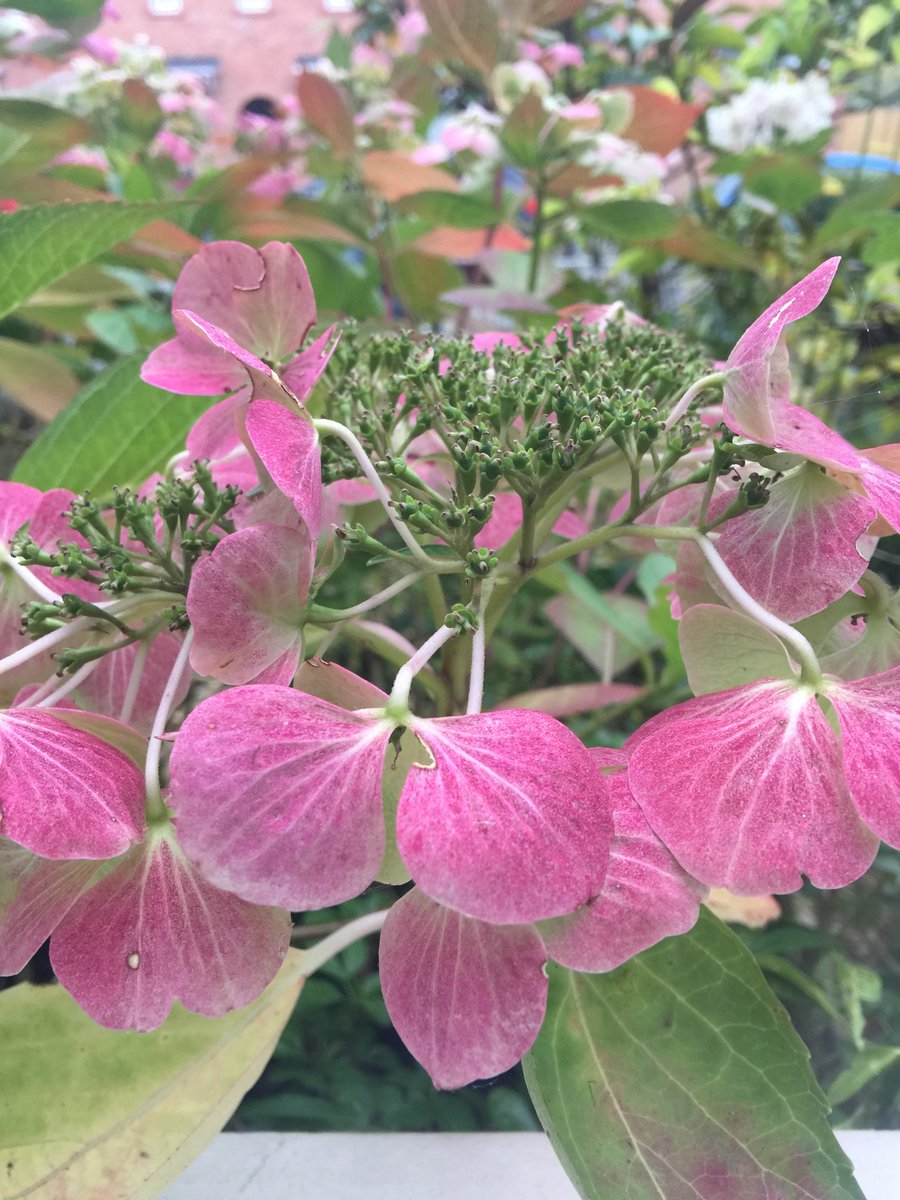 Noticing - is what I'm doing today! If you really notice you have to be present &amp; if you're present life is rich &amp; full. What do you notice?