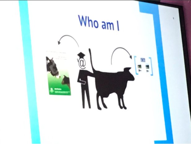 hpgrahsl's tweet photo. .@MielHostens brilliantly introducing himself as a veterinarian at #SparkSummit16 π
'Who am I? This is what I do' > https://t.co/IzZPJyVadS https://t.co/ml0s4KeIp3