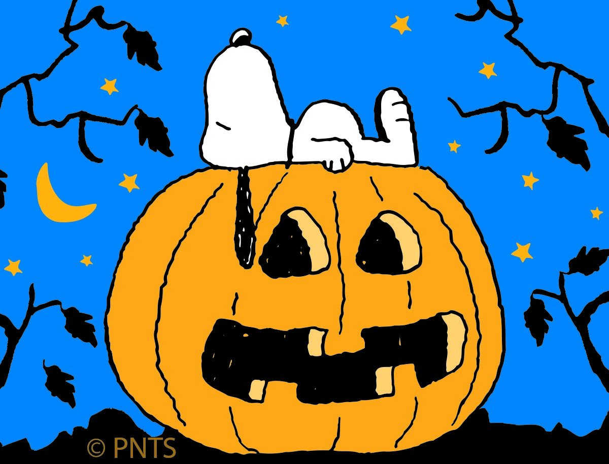SimplyEnglishT's tweet photo. Happy #PumpkinDay! #Halloween 🎃
#Travel #viaggi https://t.co/oVkZniSoPN