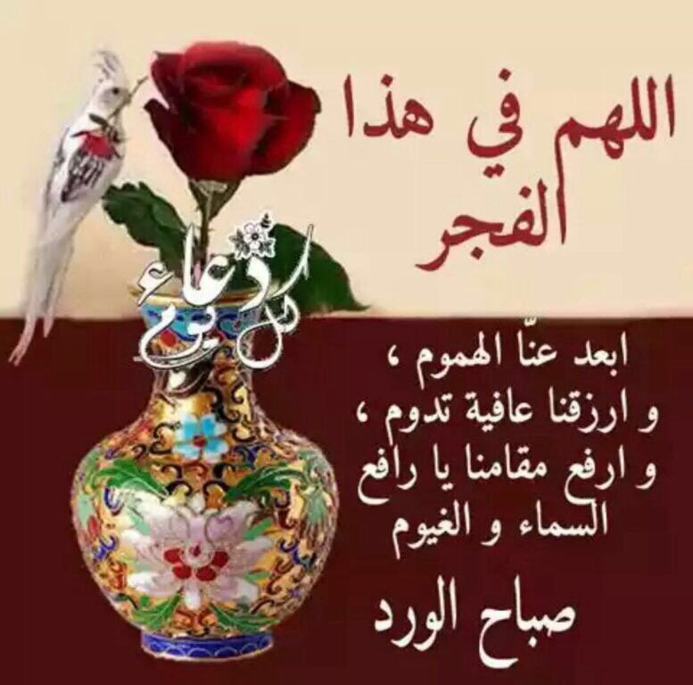 bumashal's tweet photo. https://t.co/8cA1pTZf4j