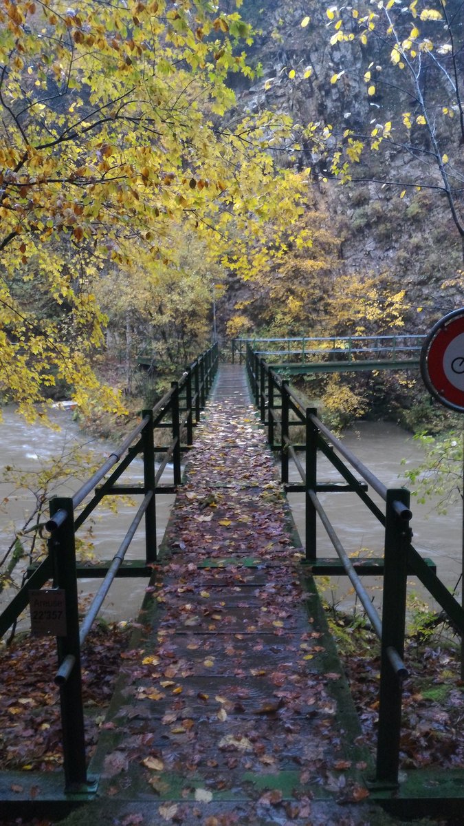 VoyagerLoin's tweet photo. Randonnée matinale et brumeuse dans les magnifiques Gorges de l'Areuse @Jura3Lacs #Jura3Lacs https://t.co/YdwI3v5176