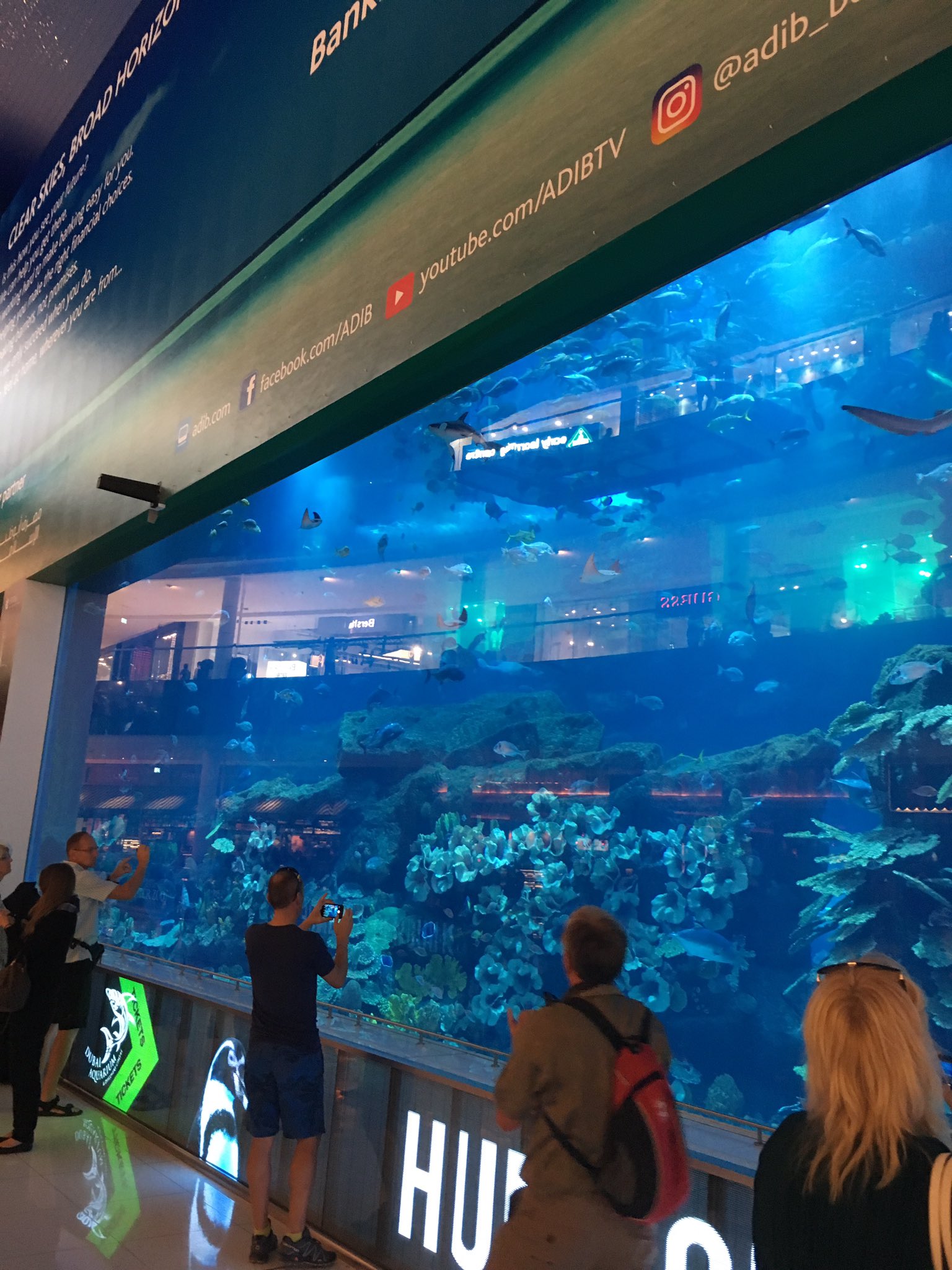 Kazma Sakamoto ショッピングモールに水族館て 石油の匂いしかしないwww 石油王に俺はなる Dubai ドバイ 水族館 アクアリウム Kazmasakamoto 石油王に俺はなる T Co O3f9jef4bb Twitter