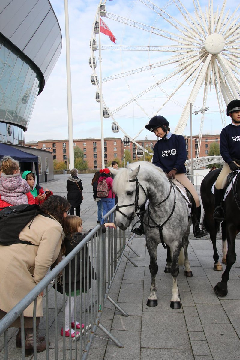 ThePonyClub's tweet photo. Here are few photos from the #LiverpoolRide yesterday which kicked off @LiverpoolInt in style! Check out our Facebook page for more https://t.co/ccBmIyWpuG