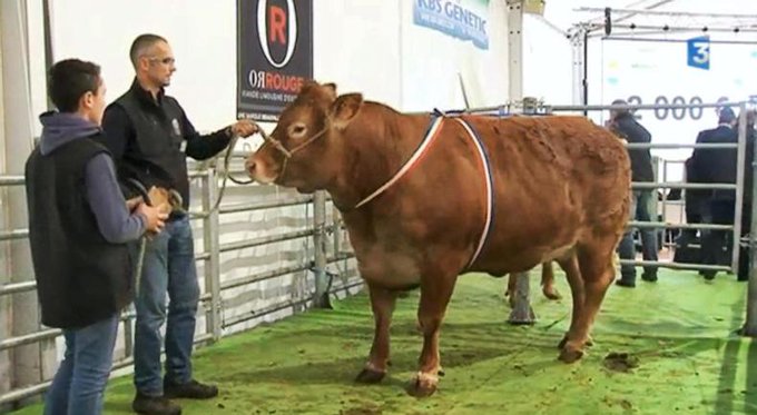 Προβολή εικόνας στο Twitter