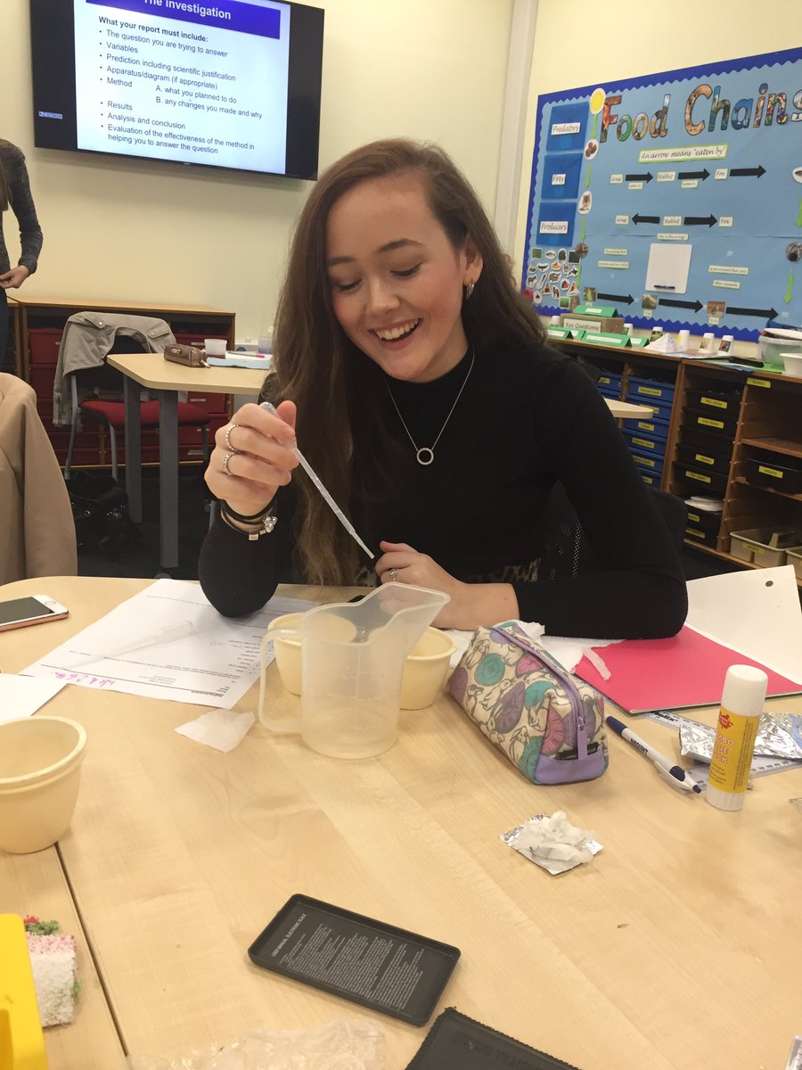 elishiayorksj's tweet photo. Teddy goes camping!! #ysjprimed #ysjscience ππ»βοΈ @caitlinyorksj @sophiebrownysj @jessicamay_b17 https://t.co/cBW3FG6Yls