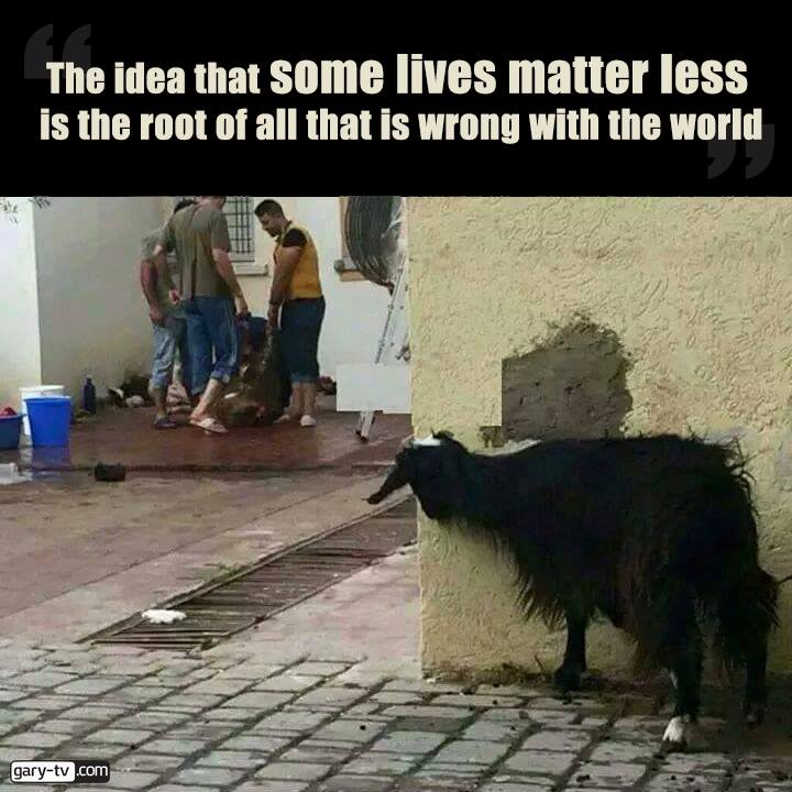 VeganIreland's tweet photo. Speciesism is "a failure, in attitude or practice, to accord any nonhuman being equal consideration and respect" (Joan Dunayer) https://t.co/TN2WpDhpDQ