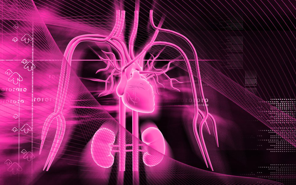 CKDnews's tweet photo. Kidney Transplants Seen to Improve Aspects of Cardiac Health in CKD Patients https://t.co/tot5ROiaMY https://t.co/cu1QWIjIUJ