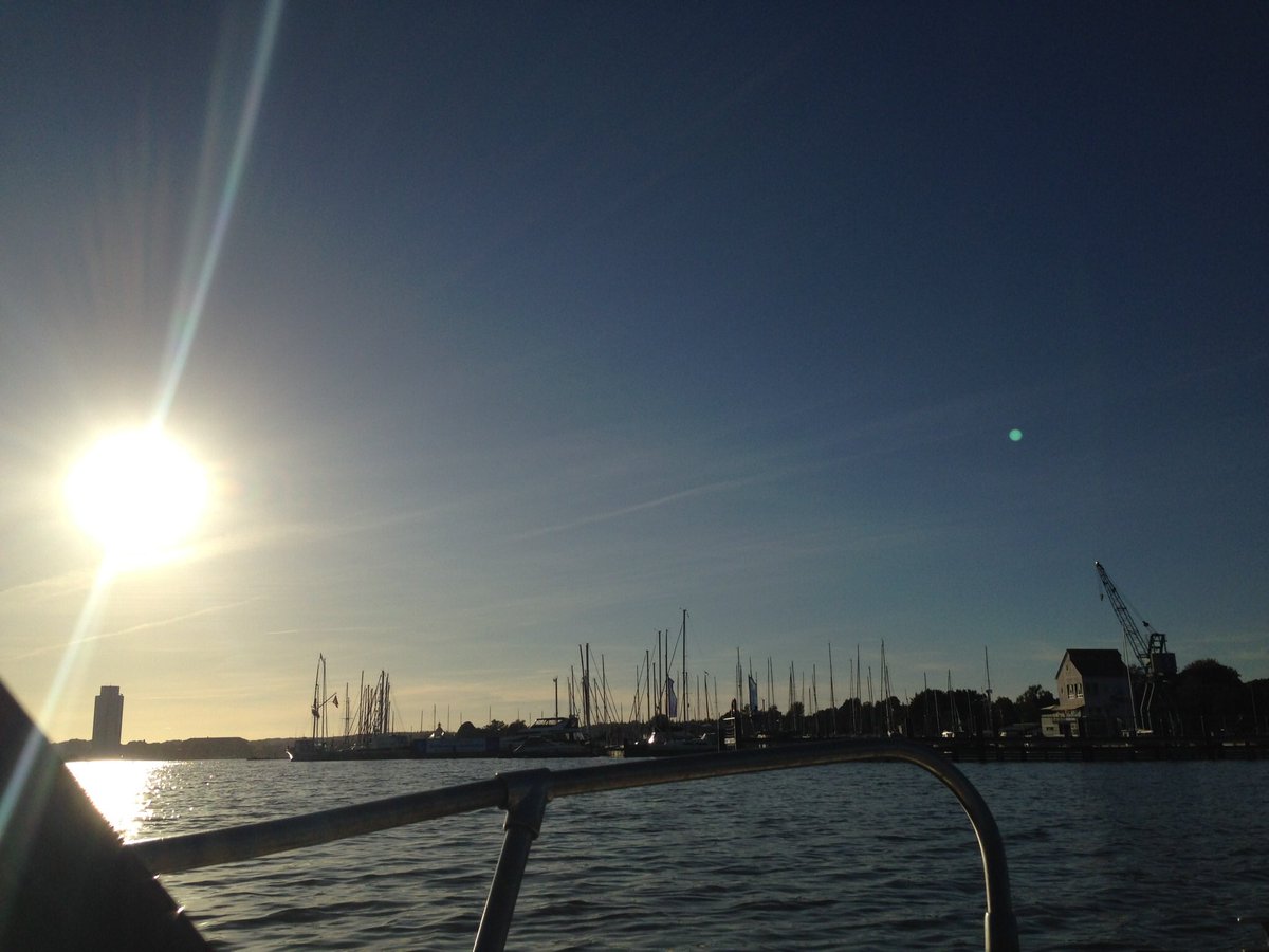 Tommy Hackauf (@tommy_260) on Twitter photo 