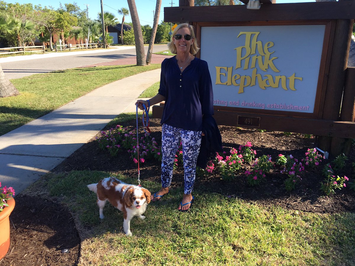 ProfSBWatkins's tweet photo. Day 6: Amelia Island to Gasparilla Island #www.turningsixtytour.com https://t.co/NqZwT0PYma