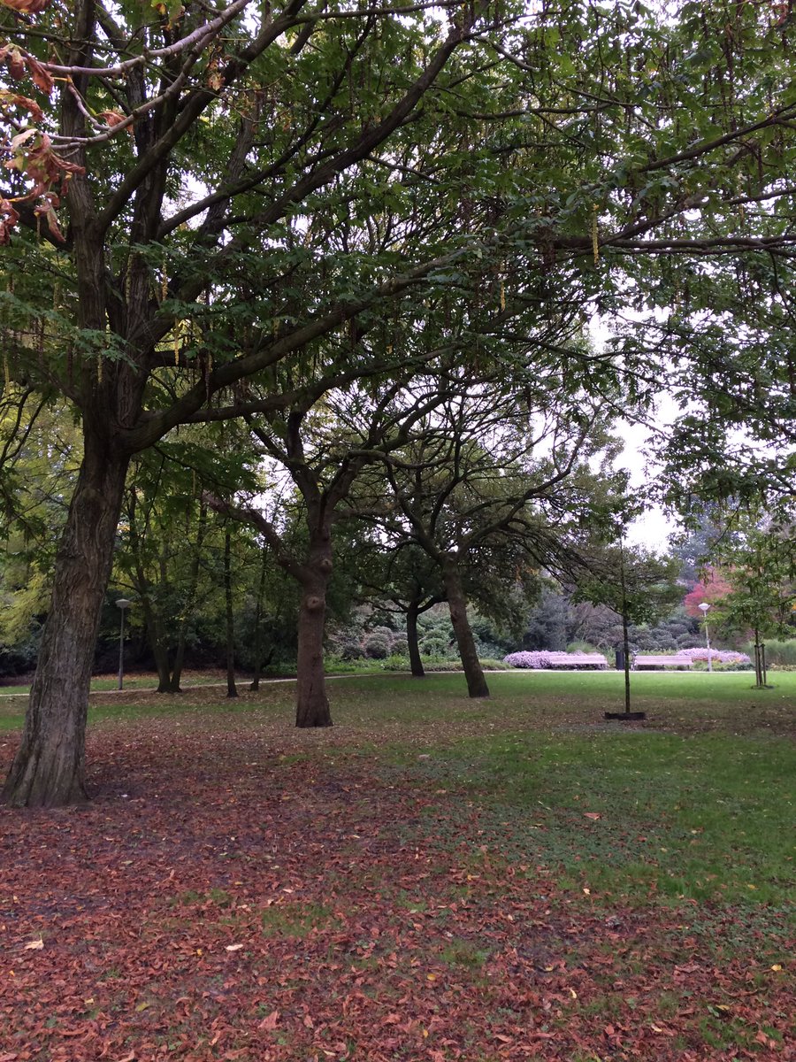 'Een stukje hoogwaardig verblijfsgroen'.