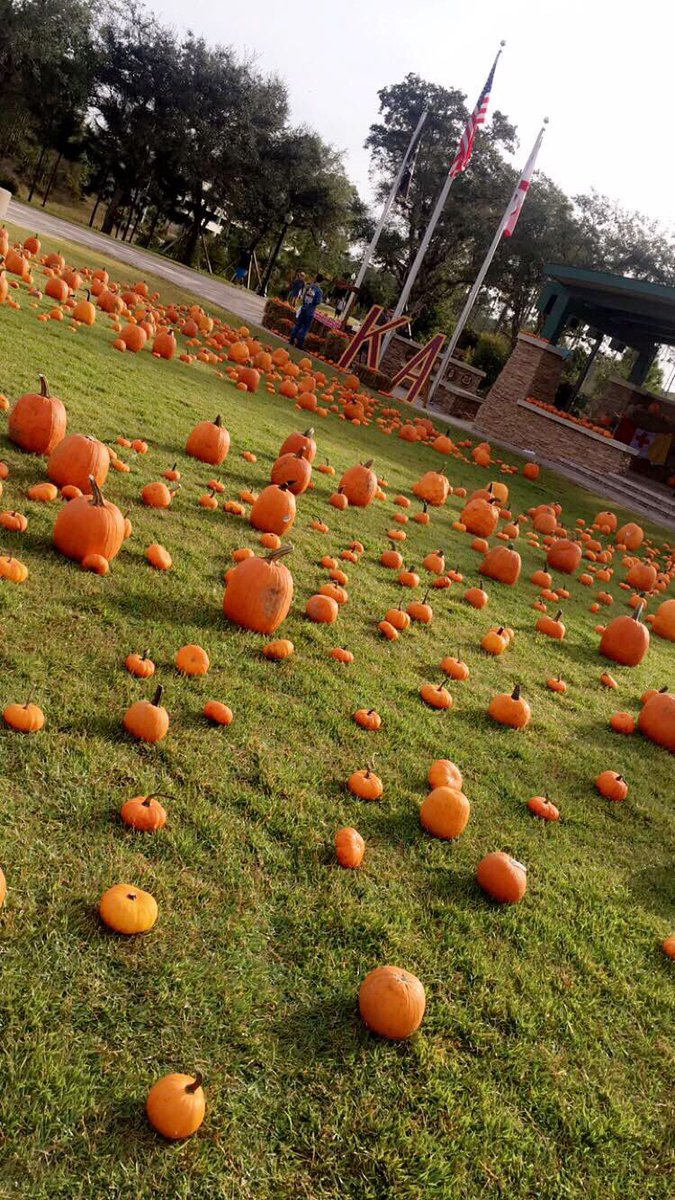 juliagruppuso's tweet photo. A little fall to get me thru endless hours in the library @kazetapi https://t.co/tgkB6XVudj