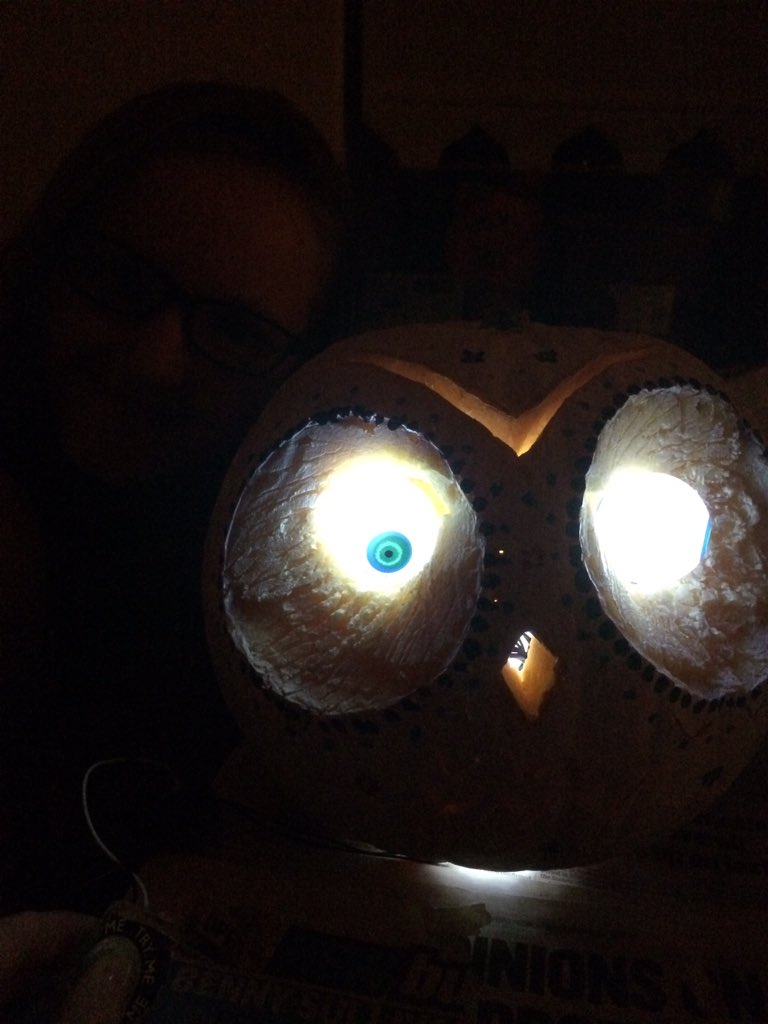 CapliceSusan's tweet photo. @JOEdotie #PumpkinDay https://t.co/tW7pJrEGWt