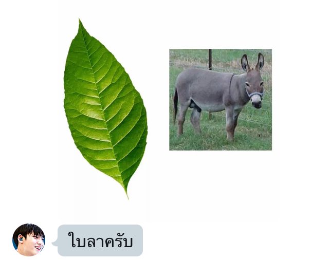woiwhyrealtime's tweet photo. ตลกใบลาจนต้องเซฟไว้55555555555555555555 https://t.co/laaf4l61yT