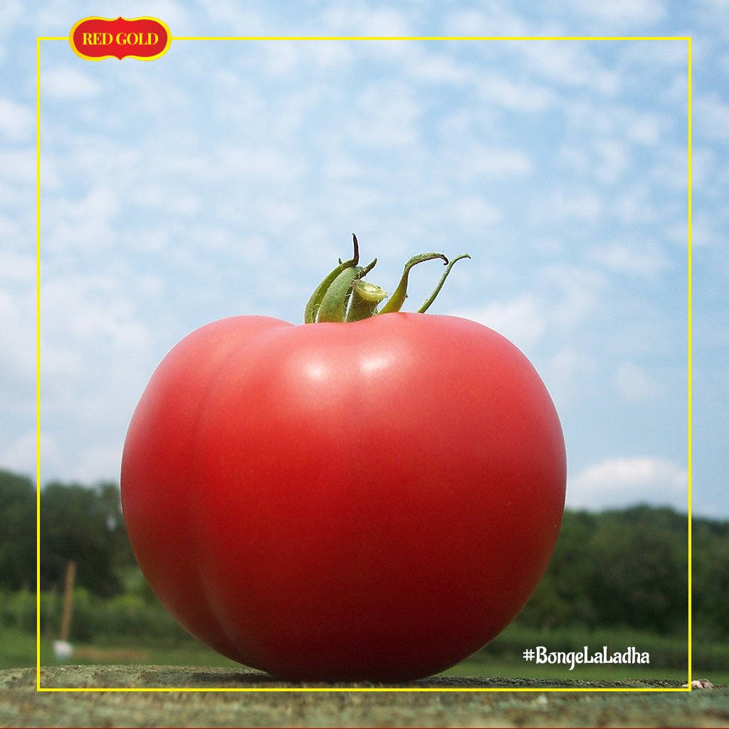 redgoldtz's tweet photo. Red Gold Tomato Sauce zinatengenezwa na nyanya zenye ubora wa hali ya juu, hivyo kukupa ladha ya kipekee sana. RT na washkaji nao wajue. https://t.co/gFwNGS1tuw