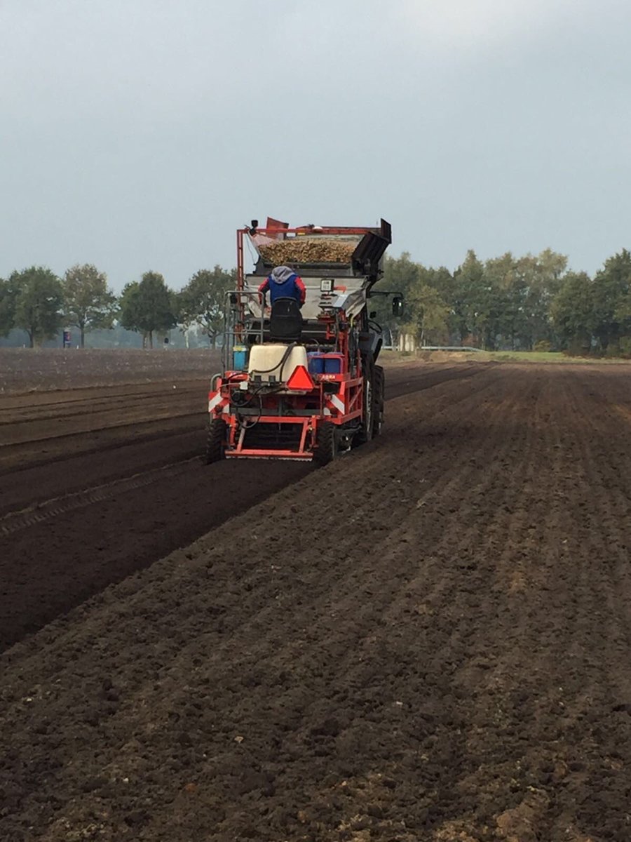 VeningaHijken's tweet photo. Drukke dag vandaag! Leliebollen worden gerooid op het ene perceel en op het andere perceel worden de Leliebollen geplant! #bloembollenteelt https://t.co/Qm9EV7AS24