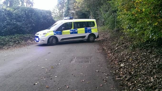 View image on Twitter View image on Twitter