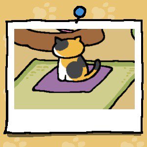 #ねこあつめ
