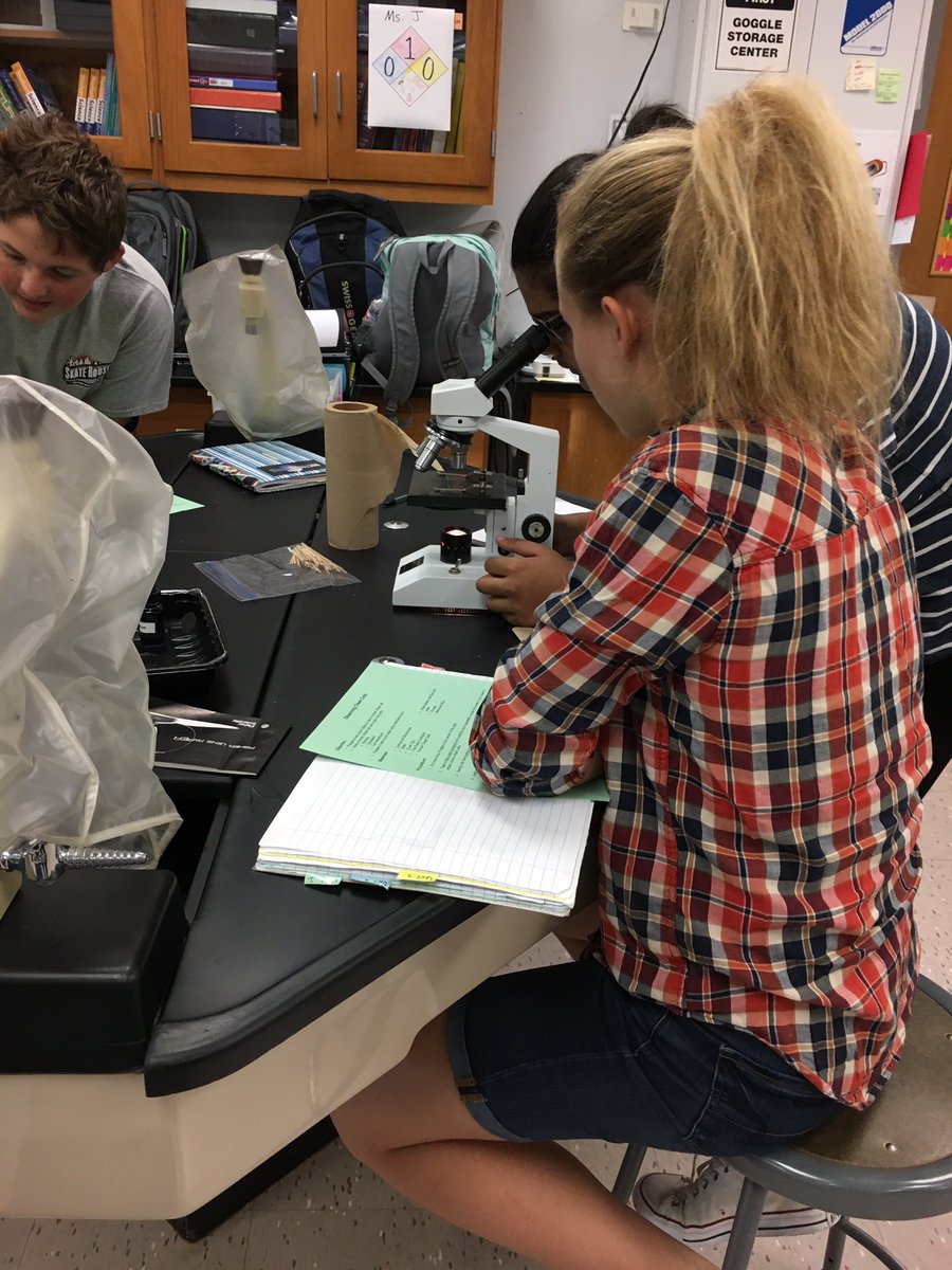 JohnsonScience's tweet image. Searching for cheek and onion cells #hmsscience