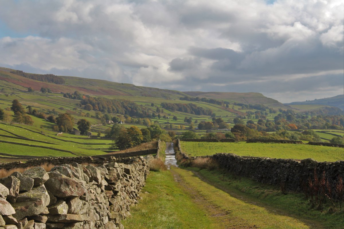 Nicky Law tweet media