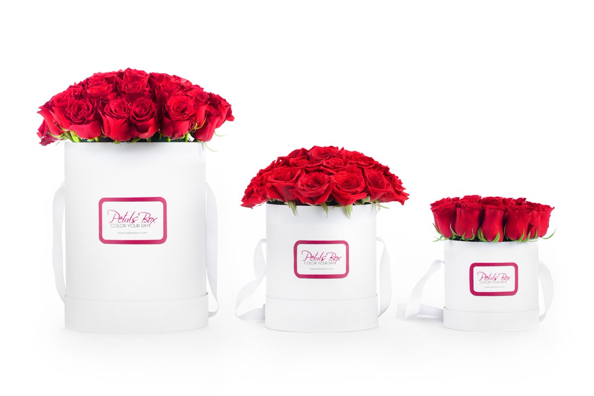 Petals Box tweet media