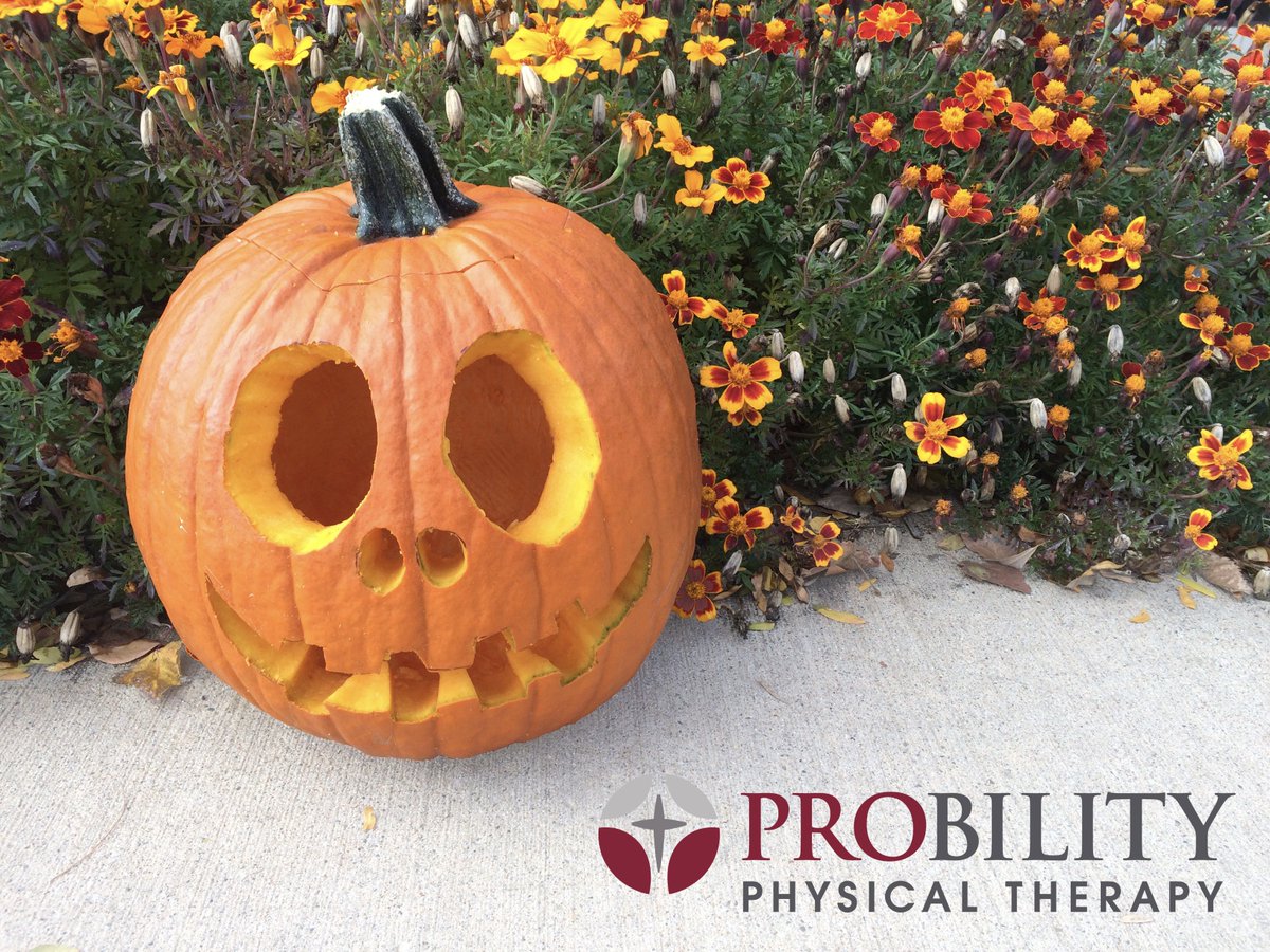 Probility's tweet photo. Happy #NationalPumpkinDay from #TeamProbility! https://t.co/3Lug9lBv1x