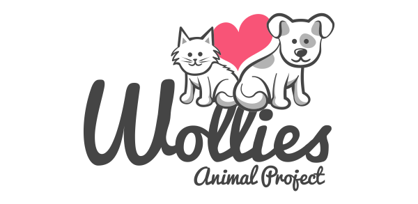 Hunterbrand_sa's tweet photo. Wollies Animal Project, to Cilla, Arentia and team. We wish to extend our heartiest thanks for bringing your puppies up for adoption along. https://t.co/yo4AwiZMxO